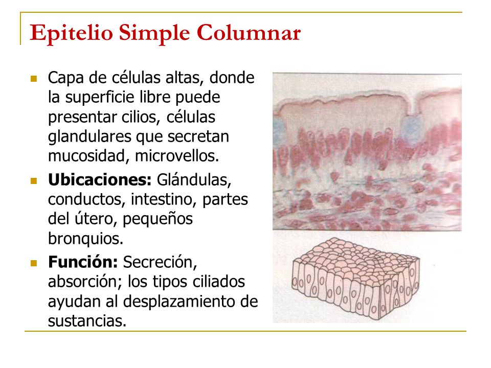 Dolores extraños en diferentes partes del cuerpo